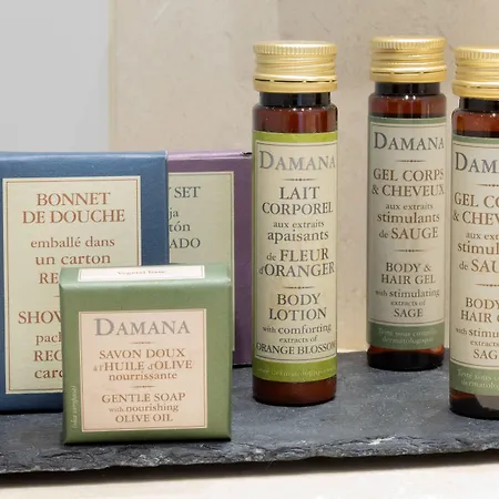 Hotel La Bastide Saint Martin 3*