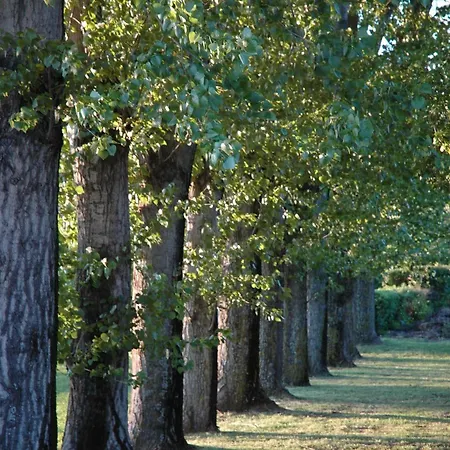 La Bastide Saint Martin Carcassonne