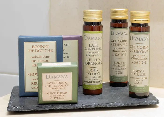 Hotel La Bastide Saint Martin 3*