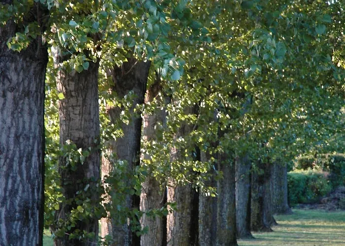 La Bastide Saint Martin Carcassonne